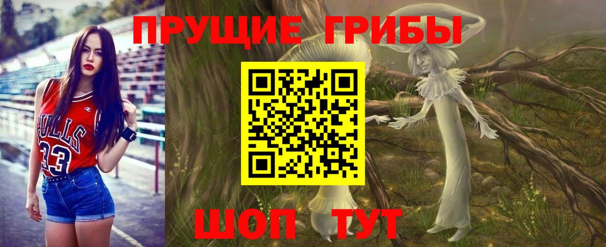 Галлюциногенные грибы Cubensis Сергиев Посад