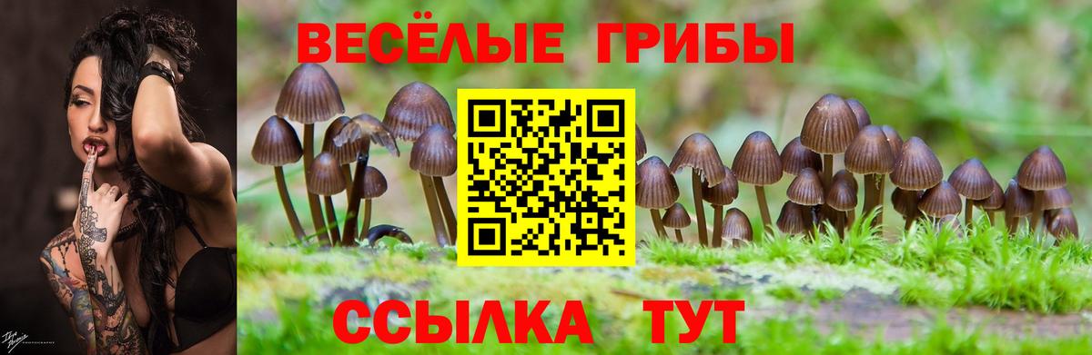 Псилоцибиновые грибы мухоморы  Вход с VPN  Галлюциногенные грибы мухоморы  Сергиев Посад 